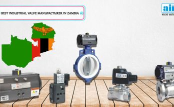 Best Industrial Valve Manufacturer in Zambia