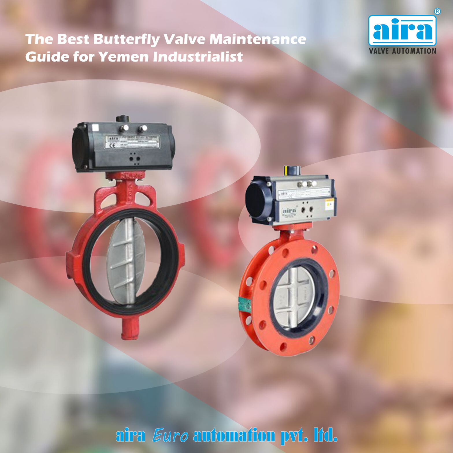 Butterfly Valve